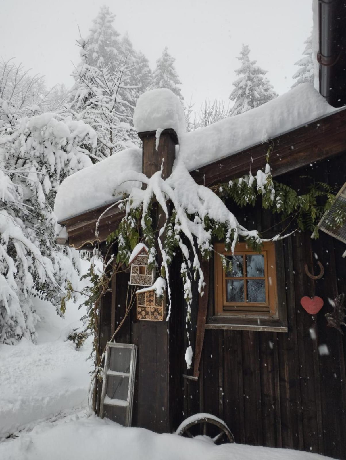 Villa Binderhaeusl Thiersee Esterno foto